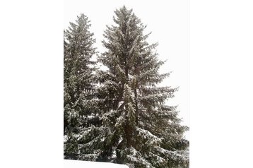 Vasaras māja Kokava nad Rimavicou 10